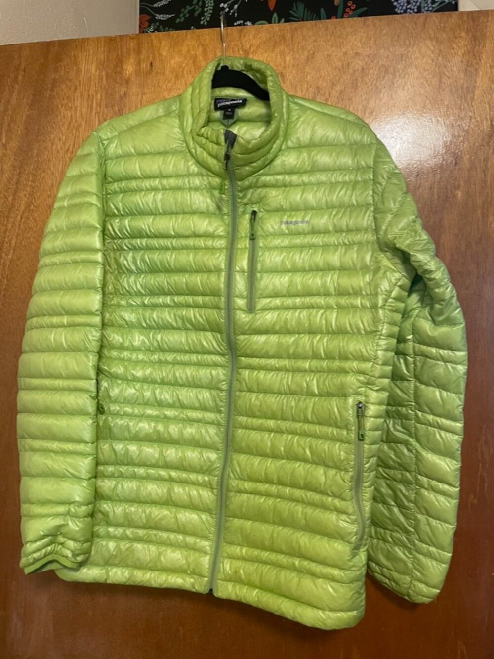 Patagonia Ultralight Down Jacket - Unique and Rare